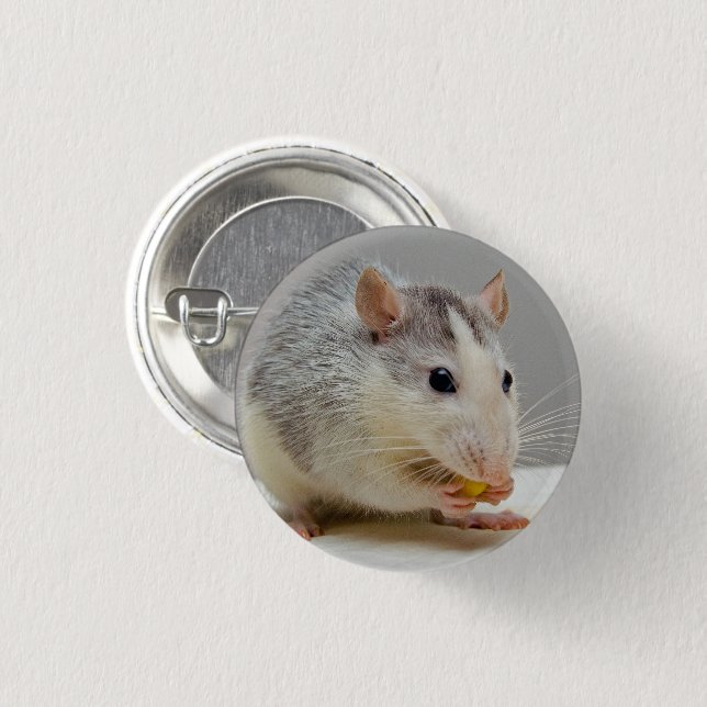 Grey and White Rat 1 Inch Round Button (Front & Back)