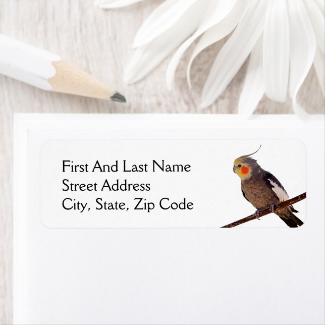 Grey and Yellow Cockatiel Pet Bird Colour Photo (Insitu)