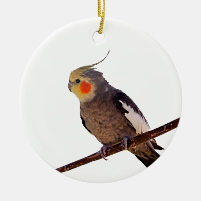 Grey and Yellow Cockatiel Pet Bird Colour Photo Ceramic Ornament (Front)