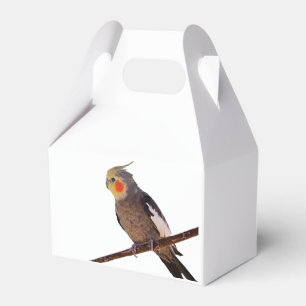 Grey and Yellow Cockatiel Pet Bird Colour Photo Favor Box