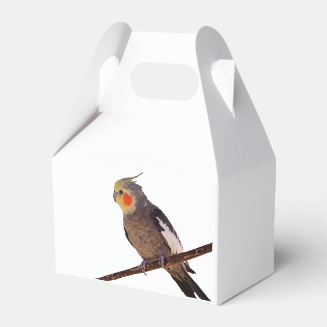 Grey and Yellow Cockatiel Pet Bird Colour Photo Favor Box (Front Side)