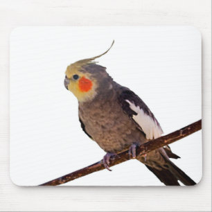 Grey and Yellow Cockatiel Pet Bird Colour Photo Mouse Pad
