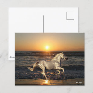 Grey Andalucian Running On Beach By Sea Postcard