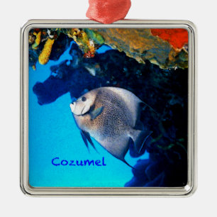 Grey Angelfish Metal Ornament