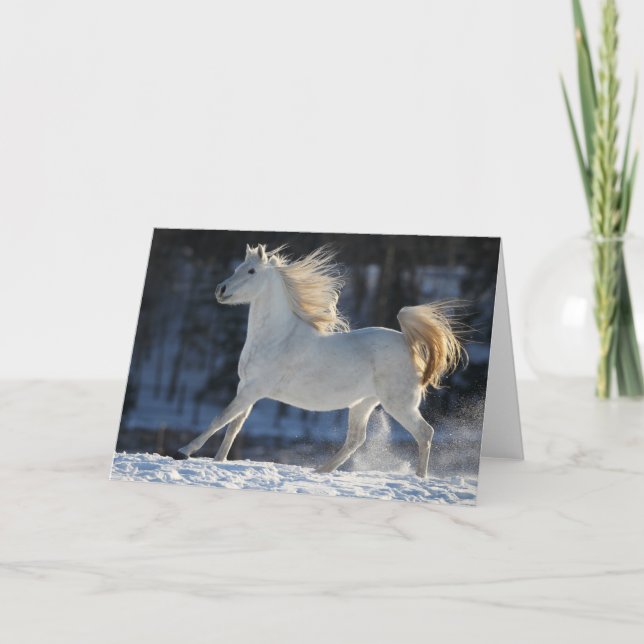 Grey Arab Running In Snow Mane Flowing Card (Front)