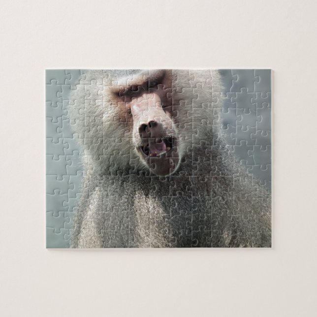 Grey Baboon looking at you with his mouth open Jigsaw Puzzle (Horizontal)