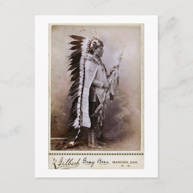 Grey Bear 1880 Postcard (Front)