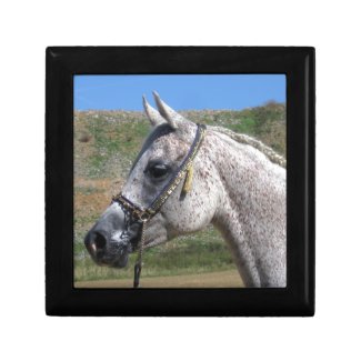 Grey Beduoin Arabian Mare Jewelry Keepsake Box