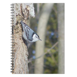 Grey Bird Photograph Notebook