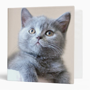 Grey British Shorthair Cat Binder