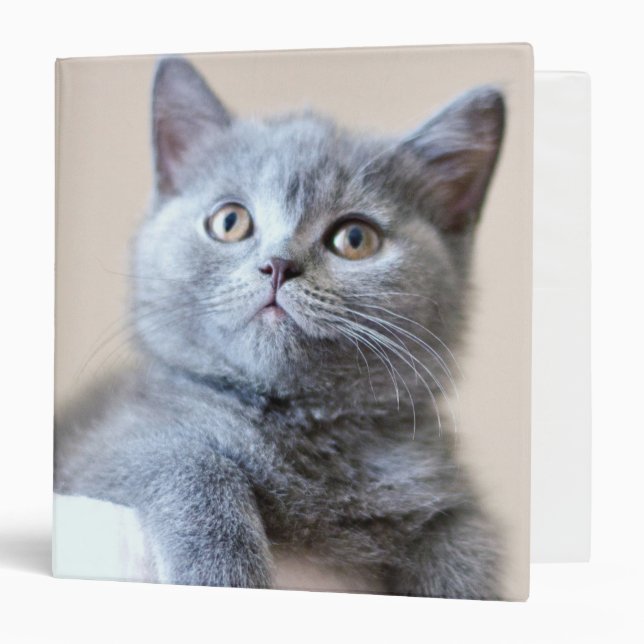 Grey British Shorthair Cat Binder (Front/Inside)