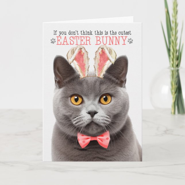 Grey British Shorthair Cat Bunny Ears for Easter Holiday Card (Front)
