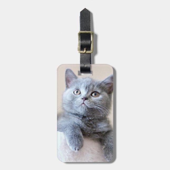 Grey British Shorthair Cat Luggage Tag (Front Vertical)