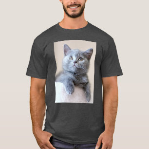 Grey British Shorthair Cat T-Shirt