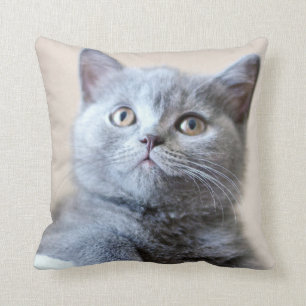 Grey British Shorthair Cat Throw Pillow