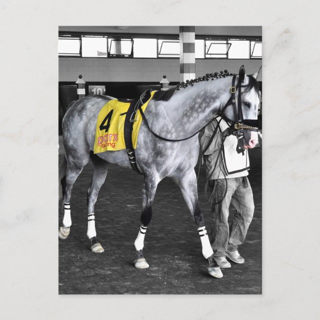 Grey by You Postcard (Front)