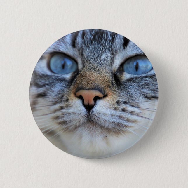 Grey Cat 2 Inch Round Button (Front)