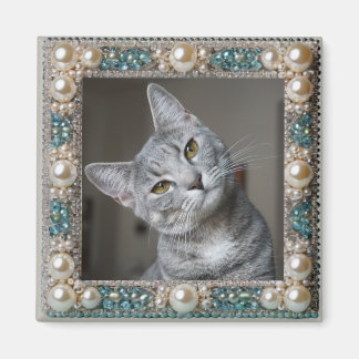 Grey Cat Animal Memory Anchor  Magnet