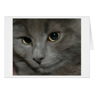 Grey Cat Card