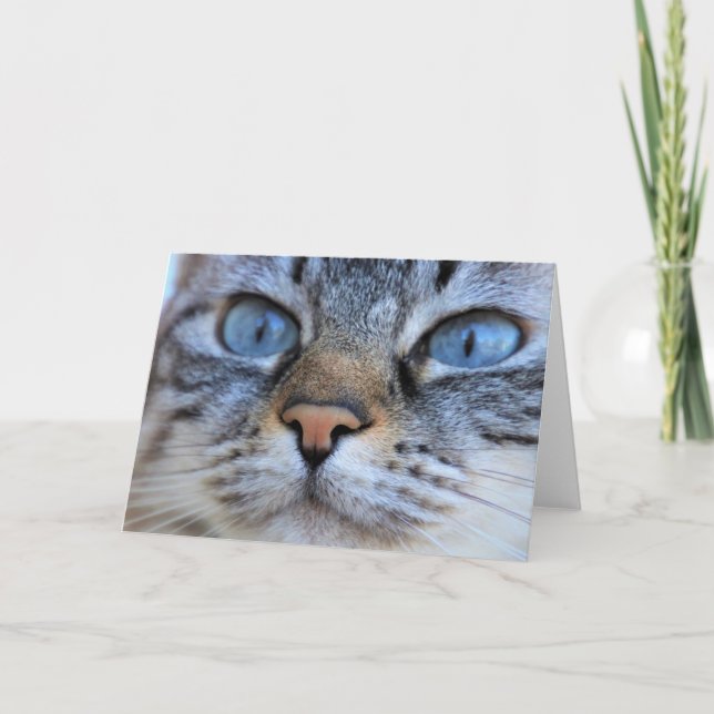 Grey Cat Card (Front)