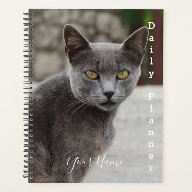 Grey Cat Chartreux - Daily Planner- HAMbWG Planner (Front)