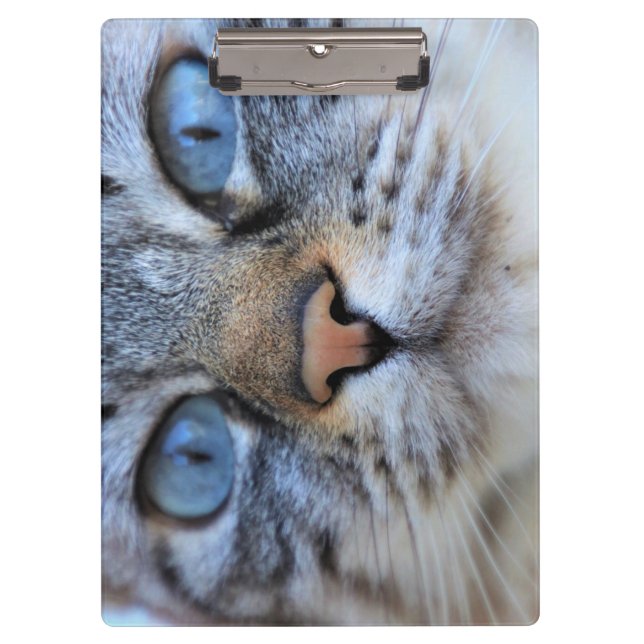 Grey Cat Clipboard (Front)