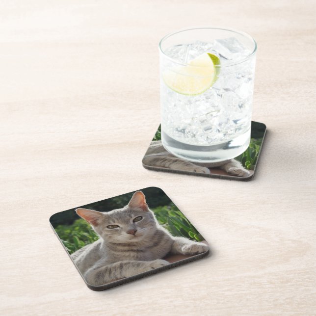 Grey Cat Coasters (Right Side)