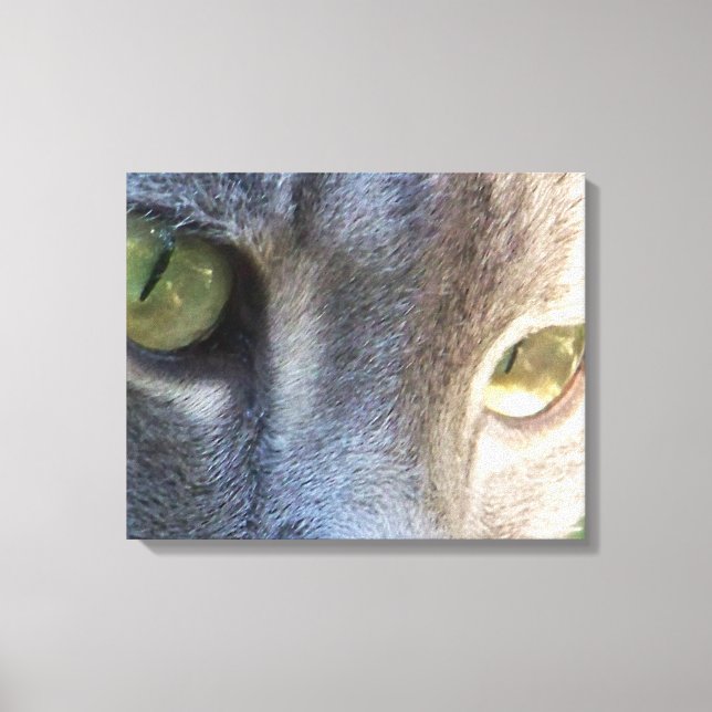 Grey cat face canvas print (Front)