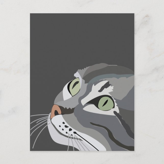 Grey Cat Face Postcard (Front)