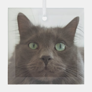Grey cat glass ornament