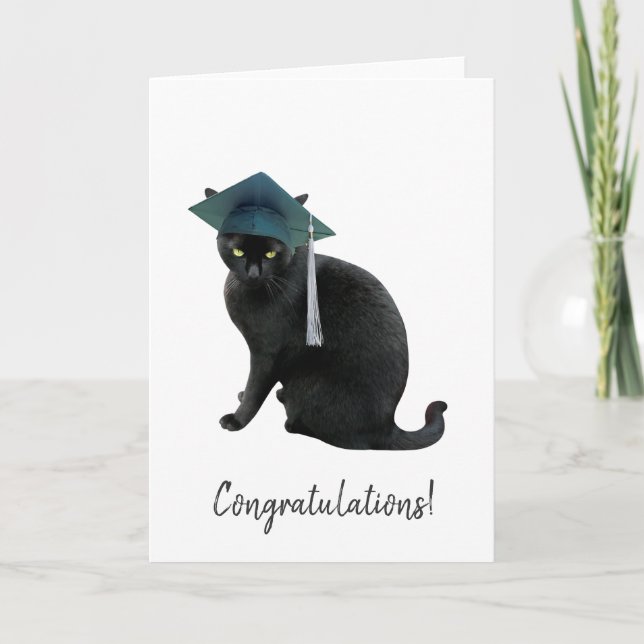 Grey Cat Graduation Card (Front)
