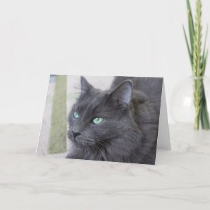Grey cat greeting card