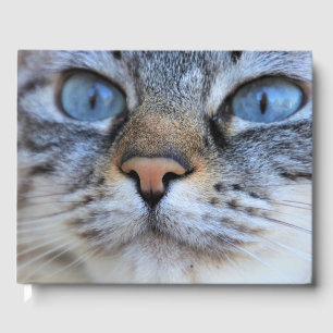 Grey Cat Guest Book