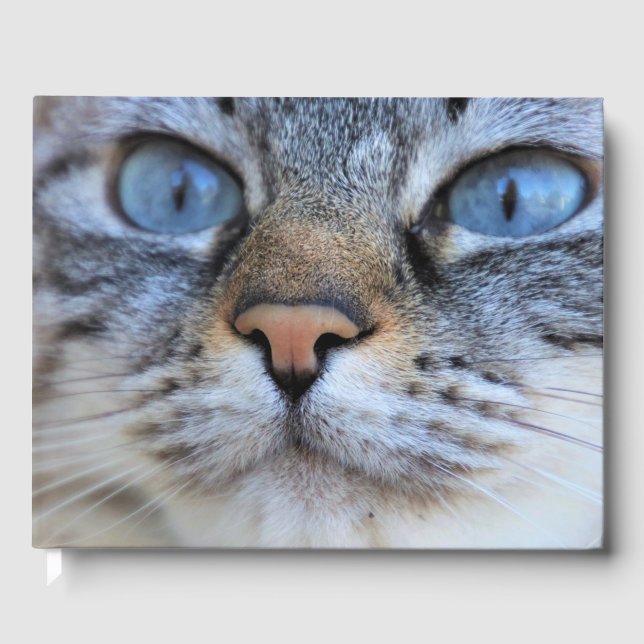 Grey Cat Guest Book (Front)