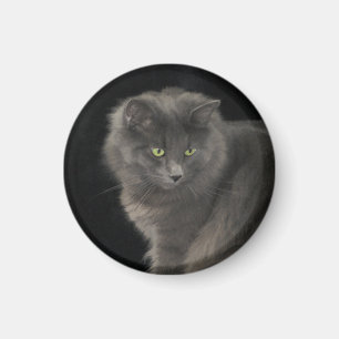 Grey Cat Long Hair Russian Blue Kitty Kitten Cute Magnet