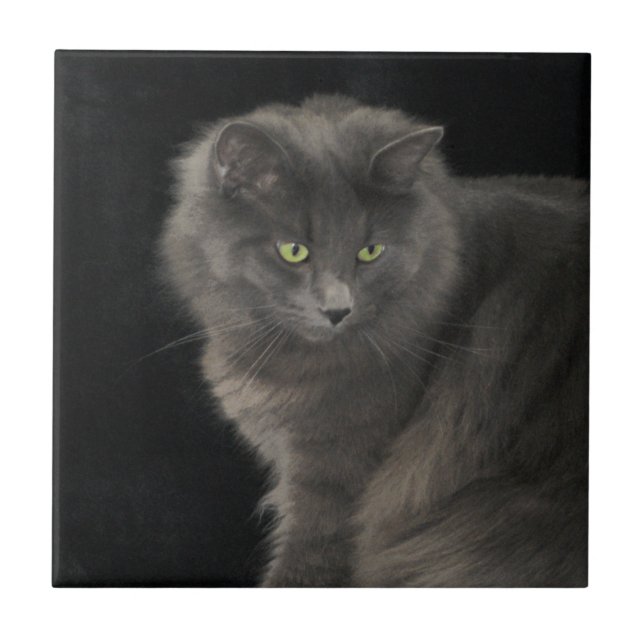 Grey Cat Long Hair Russian Blue Kitty Kitten Cute  Tile (Front)