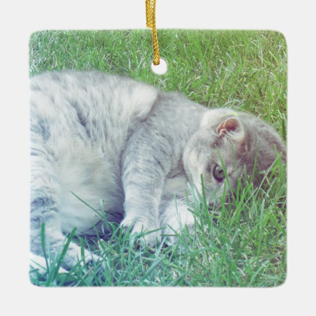 Grey Cat Lover Your Photo Christmas Ornament (Front)