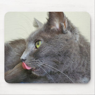 Grey cat mousepad