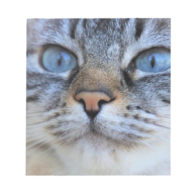 Grey Cat Notepad (Front)