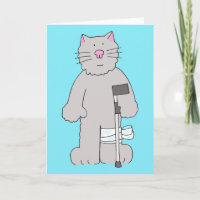 Grey Cat on Crutch Knee Surgery Recovery