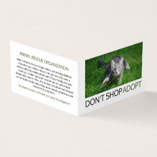 Grey Cat on Grass, Pet Adoption Detailed Business Card