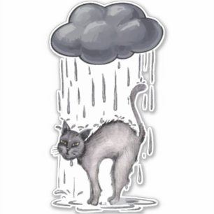 Grey Cat on Rainy Day