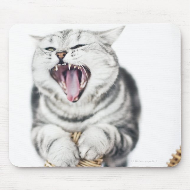grey cat on white background mouse pad (Front)