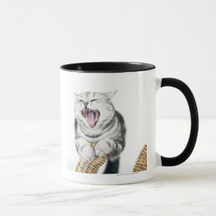 grey cat on white background mug
