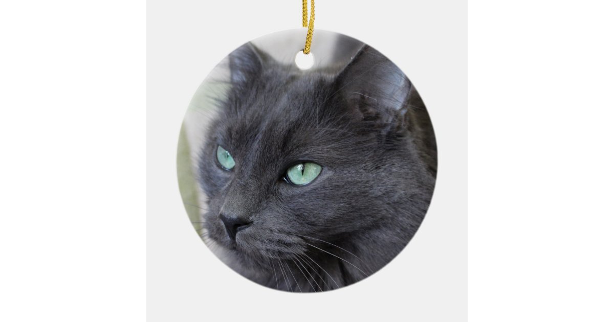 Grey cat ornament Zazzle
