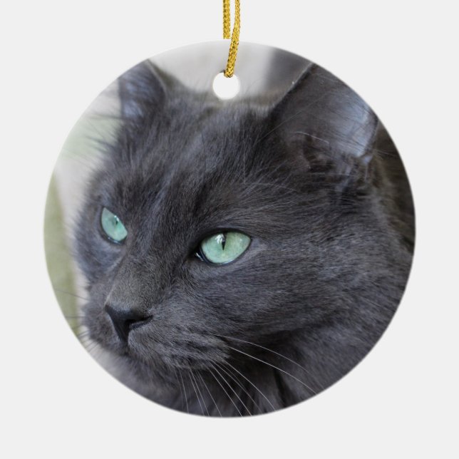 Grey cat ornament (Front)