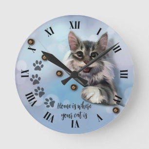 Grey cat peeking out of pocket round clock