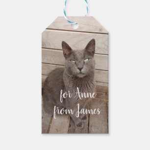 Grey cat photo gift tags