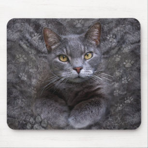 Grey Cat Portrait Mouse Pad