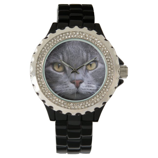 Grey Cat Portrait Watch (Front)